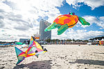 Drachenfest_Travemuende__c__LTM.jpg