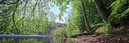 Naturpark Lauenburgische Seen - zum Artikel 'Schleswig-Holstein-Urlaub in Corona-Zeiten'