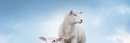  - zum Artikel 'Zur Buchungslage in Schleswig-Holstein für den Zeitraum Ostern, Himmelfahrt und Pfingsten 2025'