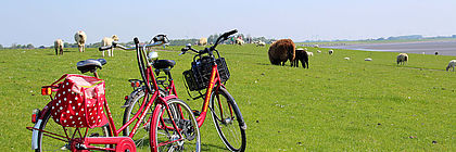 Fahrradtour Büsum - zum Artikel 'Auf zwei Rädern durch den Frühling'