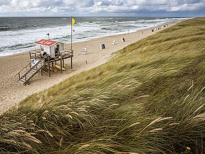 Strand und Dünen