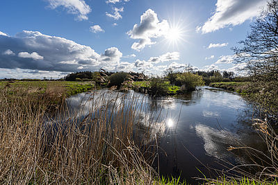 Flusslandschaft mit Gräsern am Ufer