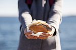 Fischbroetchen__c__TI_GPS_Anne_Weise.jpg