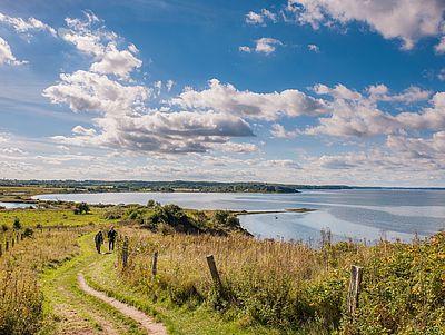 Weite Landschaft an einem See oder einer Förde unter blauem Himmel mit vielen weißen Wolken. Im Vordergrund führt ein schmaler, geschwungener Wanderweg durch hohes Gras und Büsche, daneben ein einfacher Drahtzaun mit Holzpfosten. Zwei Personen gehen nebeneinander auf dem Weg.