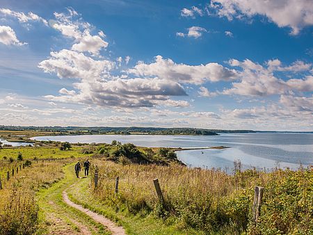 Weite Landschaft an einem See oder einer Förde unter blauem Himmel mit vielen weißen Wolken. Im Vordergrund führt ein schmaler, geschwungener Wanderweg durch hohes Gras und Büsche, daneben ein einfacher Drahtzaun mit Holzpfosten. Zwei Personen gehen nebeneinander auf dem Weg.