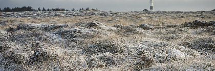  - zum Artikel 'Weg mit dem Winterspeck!'