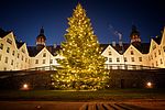 Ein beleuchteter Weihnachtsbaum steht in der Dämmerung vor dem Plöner Schloss.