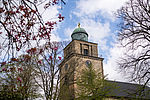 Bäume blühen im Vordergrund vor der Kuppel der Vicelinkirche in Neumünster.