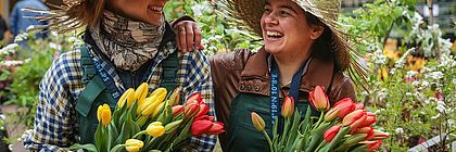 Rosen, Tulpen, Nelken: Kiel blüht auf am letzten Wochenende im April. - zum Artikel 'Bunte Frühlingsfeste und –märkte in Schleswig-Holstein'