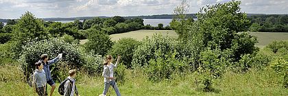 Wandern Holsteinische Schweiz - zum Artikel 'Der Weg ist das Ziel'