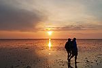 Wattwanderung__c__Nordseekueste_Nordfriesland_Jennifer_Buchner.jpg