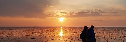  - zum Artikel 'Naturerlebnis Wattenmeer'