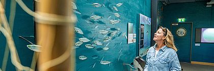 Eine Frau mit langen blonden Haaren und hellblauer Jeansjacke steht in einer maritim gestalteten Ausstellung. Sie blickt lächelnd auf eine Wand mit zahlreichen modellierten Fischen, die in Schwärmen angebracht sind. - zum Artikel 'Wasserwelten Ostsee und Binnenland: Entdeckungen zwischen Küste, Seen und Flüssen'