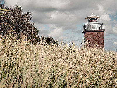 Leuchtturm Föhr hinter Seegras