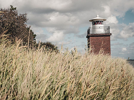Leuchtturm Föhr hinter Seegras