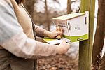 Die Hände einer Frau stempeln den Wanderpass der Holsteinischen Schweiz an einem Stempelkasten neben einem Wanderweg. Der Stempelkasten hängt an einem Baumstamm, in der Umgebung ist Wald zu sehen. 