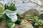 Ein Frosch-Kuscheltier sitzt vor einem See. 