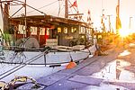 Der urige Fischereihafen in Travemünde wird vom Sonnenuntergang in ein goldenes Licht getaucht. 