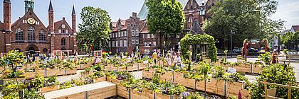 Bunte Blumenbeete stehen bei Sonnenschein mitten in der Lübecker Altstadt.  - zum Artikel 'Schleswig-Holstein blüht auf!'