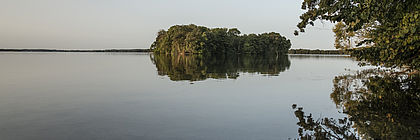 Blick auf den großen Plöner See: Bäume und eine bewachsene Insel spiegeln sich auf der ruhigen Wasseroberfläche.  - zum Artikel 'Die Buchungslage im Herbst/Herbstferien 2021 in Schleswig-Holstein'
