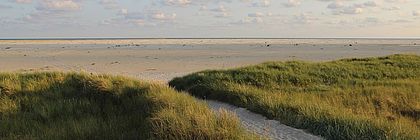 Kniepsand Amrum - zum Artikel 'Land in Sicht!'