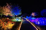Lichterfest_ParkFunkeln__c__Stadtpark_Norderstedt_GmbH.jpg