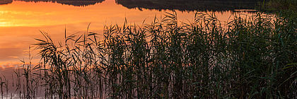 Abendstimmung am Schaalsee kurz vor Einbruch der Dunkelheit. Im Vordergrund der schon dunkelblaue See mit Schilf. Im Mittelgrund das goldene Licht des Sonnenuntergangs. Im Hintergrund das bewaldete gegenüberliegende Ufer und der teils bewölkte Abendhimmel.  - zum Artikel 'Im Dunkeln ist gut Munkeln '
