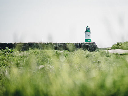 Leuchtturm im Hintergrund einer Wiese