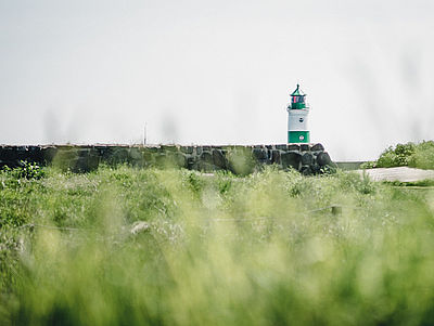 Leuchtturm im Hintergrund einer Wiese