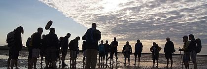 Wattenmeer - zum Artikel 'Frischer Wind in Schleswig-Holstein: Veranstaltungen und News 2019 '