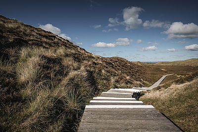 Langer Holzweg mit Stufen führt durch die menschenleere, herbstliche Dünenlandschaft im Norden der Insel Sylt. Am Horizont sind Königshafen und Ellenbogen zu erkennen. Sonnig, blauer Himmel