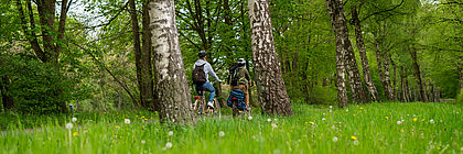 Im Vordergrund ist eine blühende Wiese zu sehen. Im Hintergrund fahren zwei Personen mit dem Rad vor einem Wald entlang.  - zum Artikel 'Ein Drittel des Tourismusjahres 2021 ohne Geschäft'