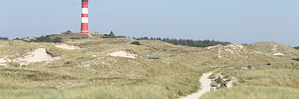 Rot-weißer Leuchtturm in Stranddünen von Amrum.  - zum Artikel 'Neue Markenstudie belegt: Schleswig-Holstein für deutsche Gäste weiterhin sehr attraktiv / Positive Faktoren sind die maritime Landschaft und viele Möglichkeiten für naturnahe Erholung '