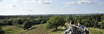 Boxberg im Naturpark Aukrug - zum Artikel 'Schöne Aussichten in Schleswig-Holstein'