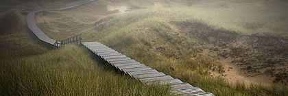 Nebel umgibt den Bohlenweg, der durch Dünen auf Amrum führt. - zum Artikel 'Schaurig-schön: Hier spukt’s in Schleswig-Holstein'