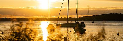  - zum Artikel 'Zur Buchungslage in Schleswig-Holstein im Herbst 2025'