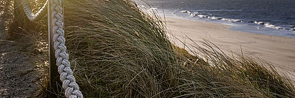 Blick aus den Dünen auf Strand - zum Artikel 'Gemischte Bilanz des Schleswig-Holstein-Tourismus 2021'