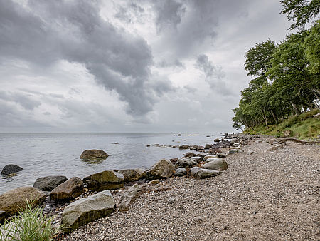 Naturstrand auf Fehmarn
