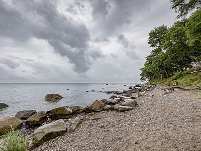 Naturstrand auf Fehmarn