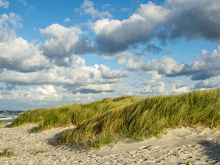 Dünen am Strand