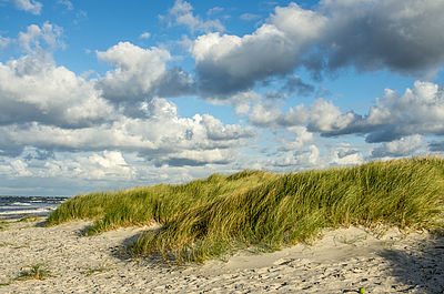 Dünen am Strand