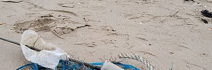 Auf der Nordseeinsel Föhr sammeln Einheimische und Gäste regelmäßig Müll am Strand. - zum Artikel 'Kleine Taten, große Wirkung: Einsatz für saubere Küsten in Schleswig-Holstein'