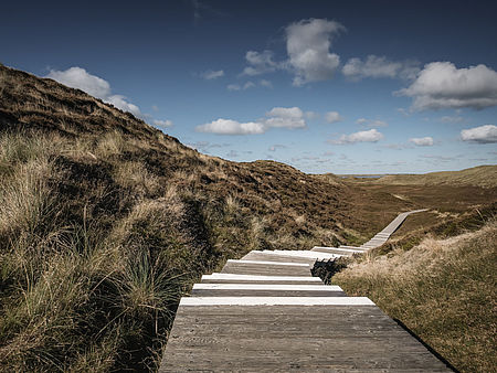 Holzweg durch Dünenlandschaft auf Sylt