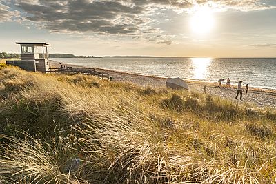 Ein sonniger Spätnachmittag am Strand mit Blick auf die Ostsee. Im Vordergrund wiegen sich hohe, goldene Strandgräser in den Dünen. Links steht ein hölzerner Aussichtsturm mit Plattform. Am Strand befindet sich ein Schlafstrandkorb.