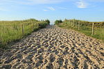 Foto vom Strandzugang in Dahme über eine Düne mit Sandweg und Pflanzen an den Seiten.
