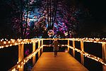 Groemitzer_Lichtermeer__c__Tourismus-Service_Groemitz.jpg