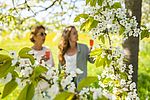 Kirschbluetenfest__c__Tourismus-Service_Kellenhusen.jpg