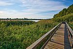 Ein Holzsteg führt durch die Landschaft im Selker Noor. Die Sonne scheint auf die grüne Natur und die Schlei. 