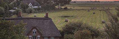Sonnenuntergang Eiderstedt - zum Artikel 'Schleswig-Holsteins verborgene Schönheiten'