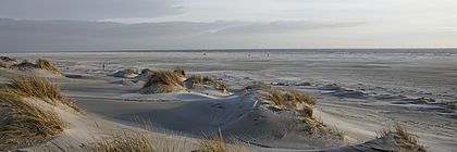 Eine Dünenlandschaft an der Nordsee mit Wasser im Hintergrund.                            - zum Artikel 'Schleswig-Holstein mal anders: Geheimnisvolle Orte entdecken'